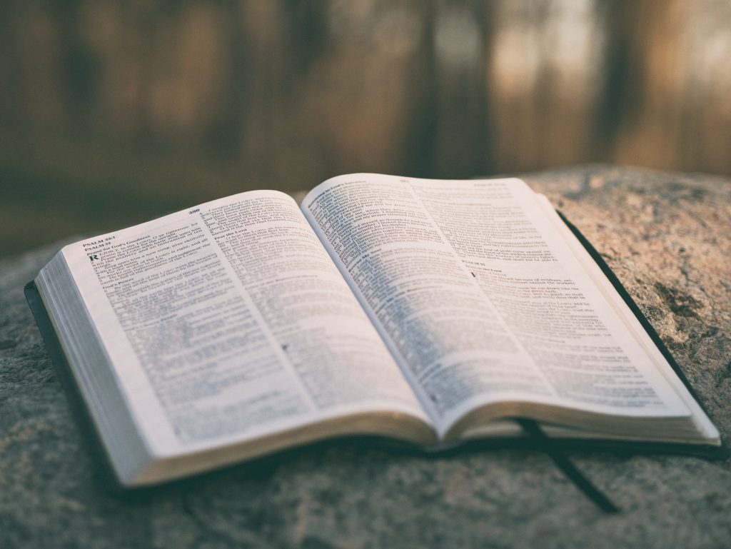 Acts 28:1-16: Lessons on Ministry, Faith, and Gratitude